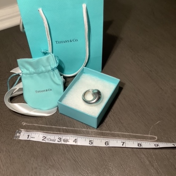 Tiffany & Co Elsa Peretti Large Eternal Circle Pendant with T & Co. 925 Chain - Picture 7 of 11
